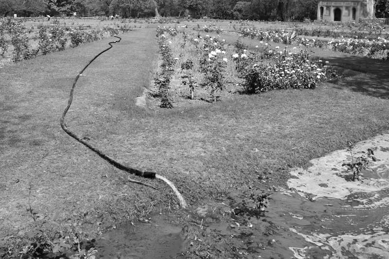Wastewater Reuse: Irrigating rose plants in Lodi Garden with recycled wastewater in South-East district, National Capital Territory of Delhi